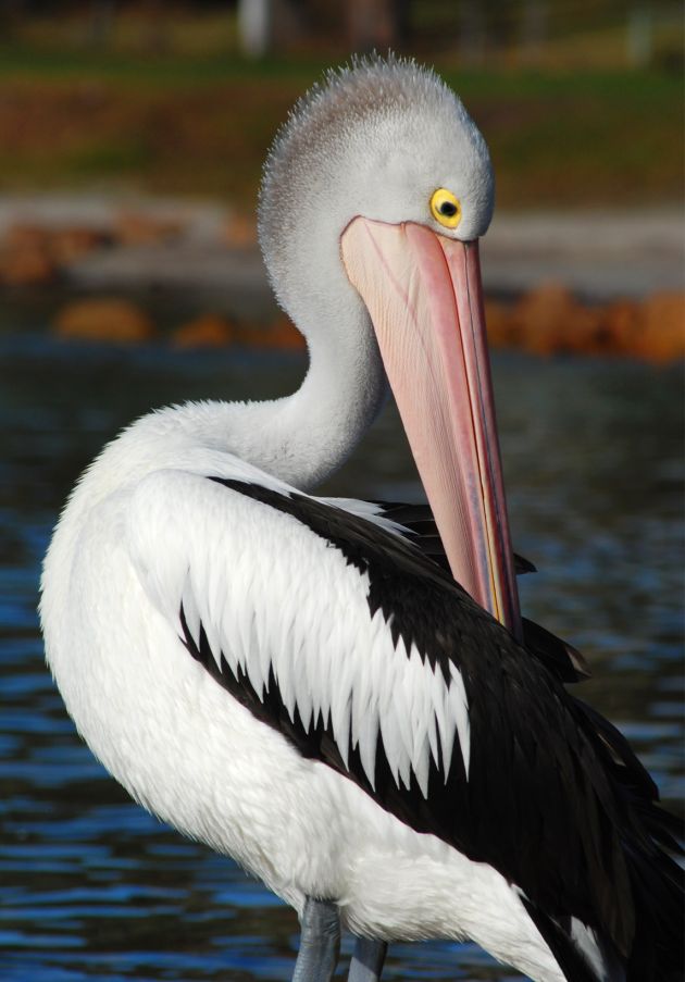 Création des sites internet / web, photographie & vidéo - Sion - Martigny - Sierre - Valais