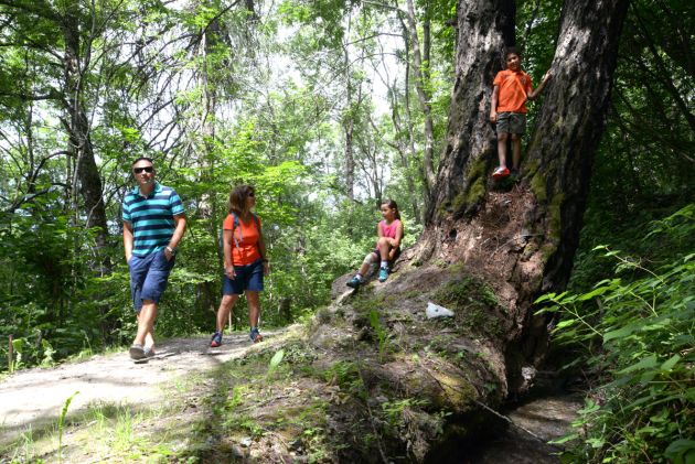 Création des sites internet / web, photographie & vidéo - Sion - Martigny - Sierre - Valais