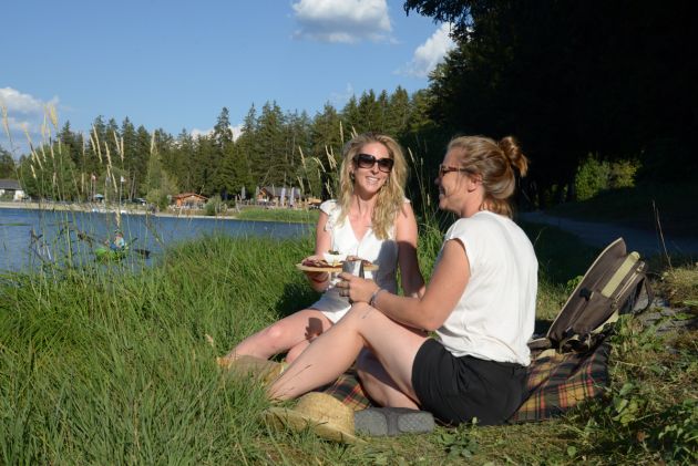 Création des sites internet / web, photographie & vidéo - Sion - Martigny - Sierre - Valais